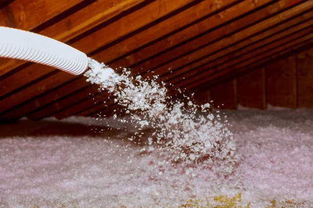 Best Blown-in Insulation in Port Orange, FL