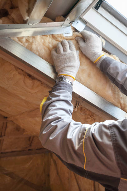 Best Eco-Friendly Insulation in Port Orange, FL