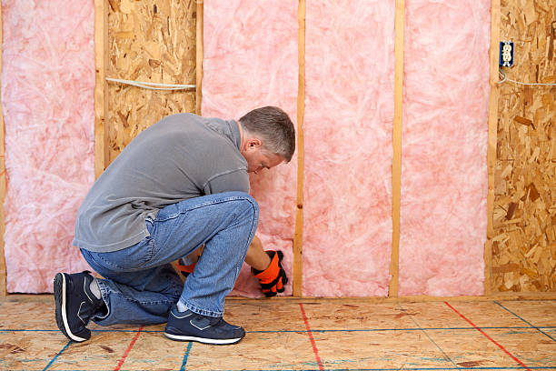 Best Cellulose Insulation in Port Orange, FL