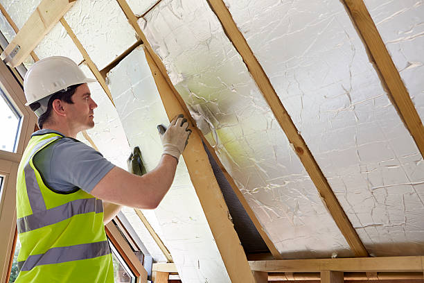 Best DIY Insulation Kits and Guidance in Port Orange, FL