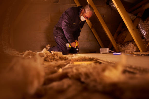 Trusted Port Orange, FL Insulation Contractor Experts