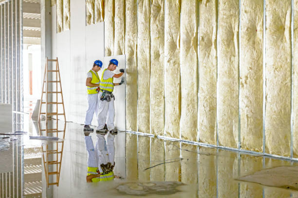 Best Geographic-Specific Insulation Services in Port Orange, FL